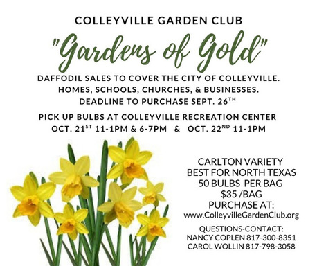 GCG Daffodil Flyer 2025.jpg